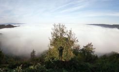 KARTPOSTALLIK GÖRÜNTÜLER..