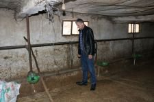 KREDİ BORCU İÇİN HAYVANLARINI SATTI, DOLANDIRILDI