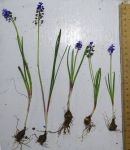 ÖĞRETİM ÜYESİNDEN BÜYÜK JEST