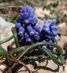 ÖĞRETİM ÜYESİNDEN BÜYÜK JEST