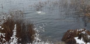 ÖLÜMLE BURUN BURUNA!