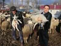 "ÖNCE EVLAT SONRA KOYUNLAR"