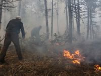 ORMAN YANGINI KORKUTTU