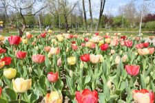 PARK VE BAHÇELERE YAZ GELİYOR