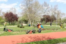 PARK VE BAHÇELERE YAZ GELİYOR