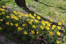 PARK VE BAHÇELERE YAZ GELİYOR