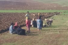 ROMANLARIN EVİ ALEV ALEV YANDI