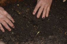 SOLUCAN GÜBRESİ ÜRETİMİYLE EK GELİR SAĞLIYOR