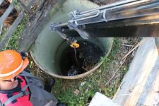 SU KUYUSUNA DÜŞEN BUZAĞI TELEF OLDU