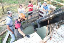 SU KUYUSUNA DÜŞEN BUZAĞI TELEF OLDU