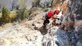 TALİHSİZ KEÇİLER UÇURUMDA MAHSUR KALDI