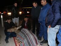 YARALI GEYİĞE VATANDAŞ ŞEVKATİ...