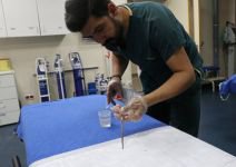 YAZ AYLARININ KABUSU