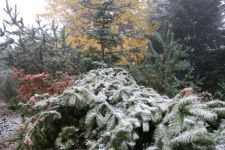 YILIN İLK KARI DÜŞTÜ....