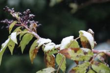 YILIN İLK KARI DÜŞTÜ....