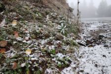 YILIN İLK KARI DÜŞTÜ....