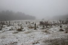 YILIN İLK KARI DÜŞTÜ....