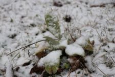 YILIN İLK KARI DÜŞTÜ....