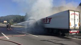 YOL ORTASINDA CAYIR CAYIR YANDI !