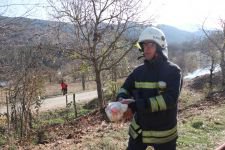 YÜZLERCE TAVUK YANGINDAN KURTARILDI