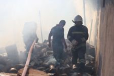 YÜZLERCE TAVUK YANGINDAN KURTARILDI