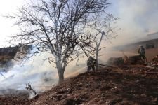 YÜZLERCE TAVUK YANGINDAN KURTARILDI