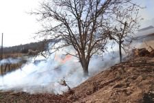 YÜZLERCE TAVUK YANGINDAN KURTARILDI