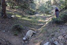 ACI MANZARAYLA KARŞILAŞTILAR