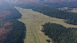 AT YAYLASI ŞEHİR OLMUŞ !