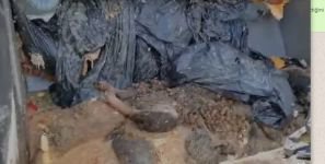 SKANDAL GÖRÜNTÜLERE BÜYÜK TEPKİ..