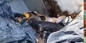 SKANDAL GÖRÜNTÜLERE BÜYÜK TEPKİ..