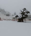 BEKLENEN KAR GELDİ!