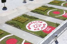 BELEDİYE MEYDANI YEŞİLLENDİ