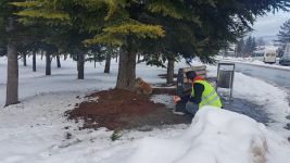 BELEDİYE SOKAK HAYVANLARINI UNUTMADI