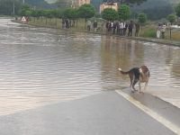 MENGEN'DE SEL FELAKETİ...