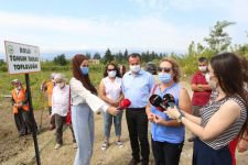 BOLU BELEDİYESİ ATA TOHUMLARINA SAHİP ÇIKIYOR