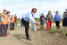 BOLU BELEDİYESİ ATA TOHUMLARINA SAHİP ÇIKIYOR