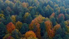 BOLU DAĞI'NDAN KARTPOSTALLIK GÖRÜNTÜLER