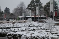 BOLU GÜNE KAR İLE UYANDI !