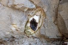 BOLU'DA 19 MİLYON YIL ÖNCESİNE YOLCULUK