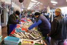 BOLU'DA BALIK FİYATLARI CEP YAKIYOR