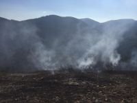 BOLU'DA BİR ORMAN YANGINI DAHA!