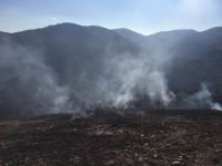 BOLU'DA BİR ORMAN YANGINI DAHA!