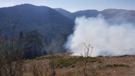 BOLU'DA BİR ORMAN YANGINI DAHA!