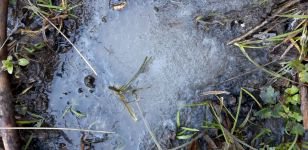 BOLU'DA DERELER DONDU !