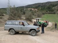 BOLU'DA MANTAR TOPLAYANLARA CEZA YAZILDI