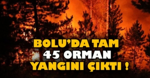BOLU'DA 45 ORMAN YANGINI MEYDANA GELDİ