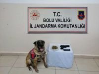 BOLU'DA UYUŞTURUCUYA GEÇİT YOK