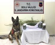 BOLU'DA UYUŞTURUCUYA GEÇİT YOK