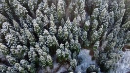 BOLU'NUN DAĞLARINA BEREKET YAĞDI